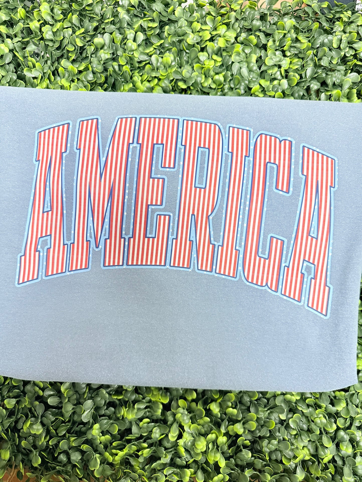 AMERICA Comfort Colors T-Shirt